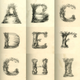 Image for article titled You've never seen the ABCs look this bizarre and wonderful